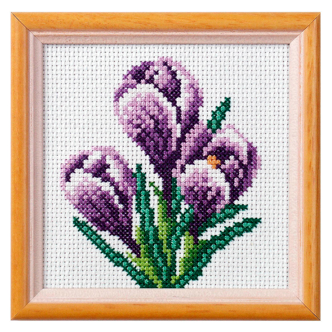 Cross Stitch Kit: Crocus
