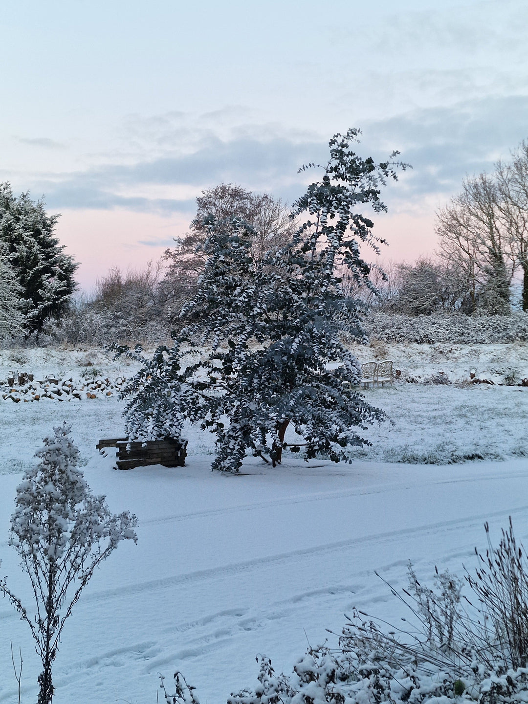 A Snowy Day at the Studio