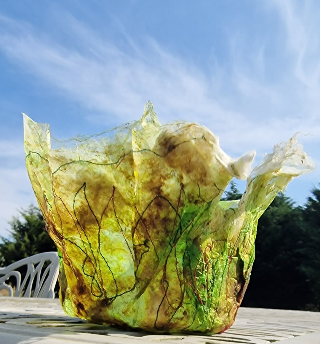 Cocoon Stripping Silk Bowl Workshop