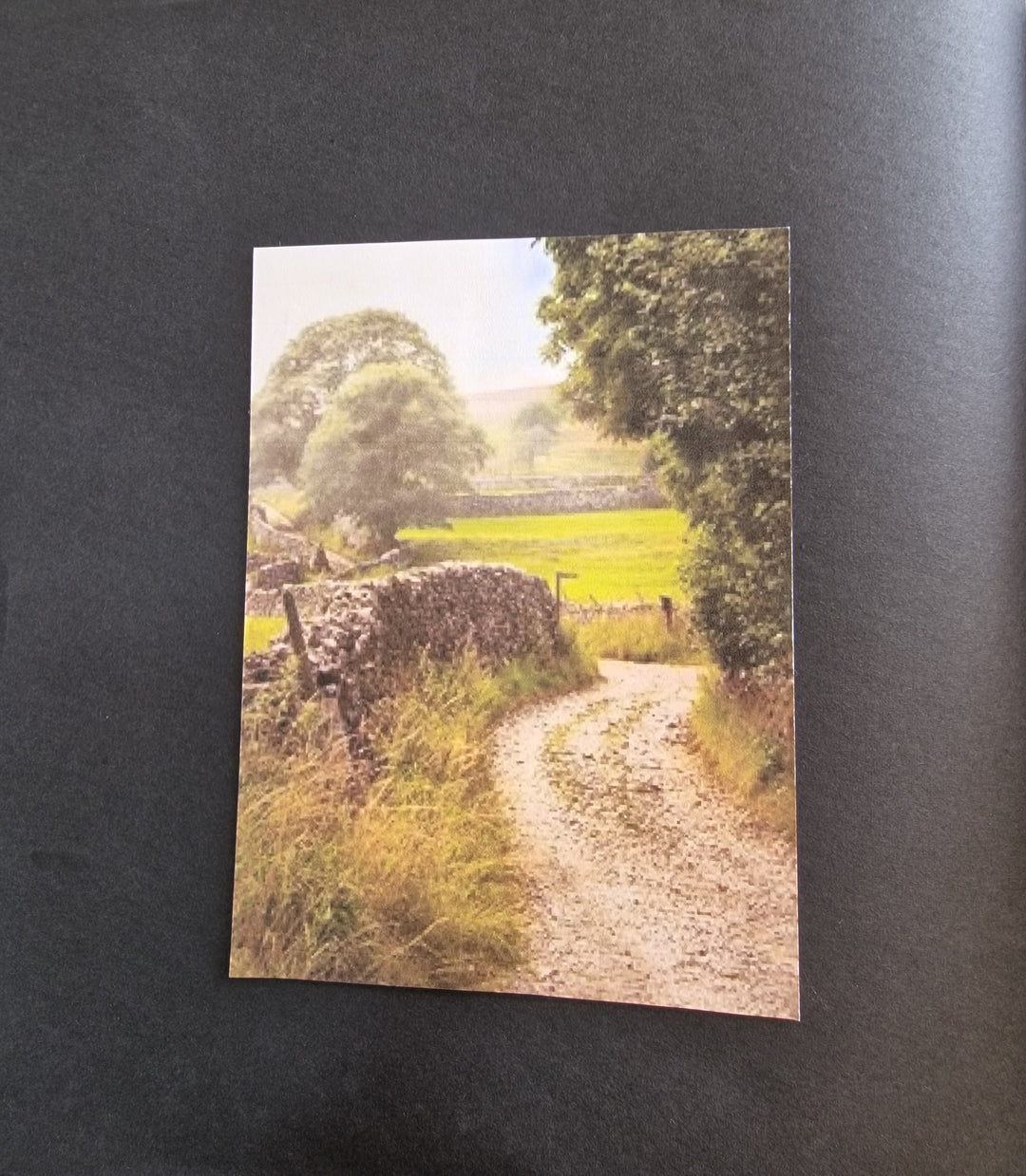 Image & Stitch: Create Your Own Art Book